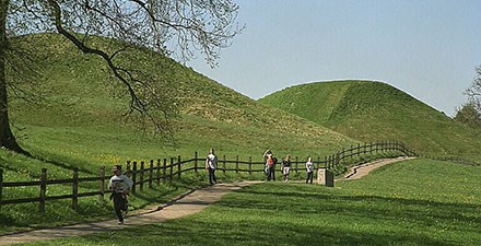 4c327c8b46f84f9891fcf0fbf1ff5341-1408019784-rszww440h225-90