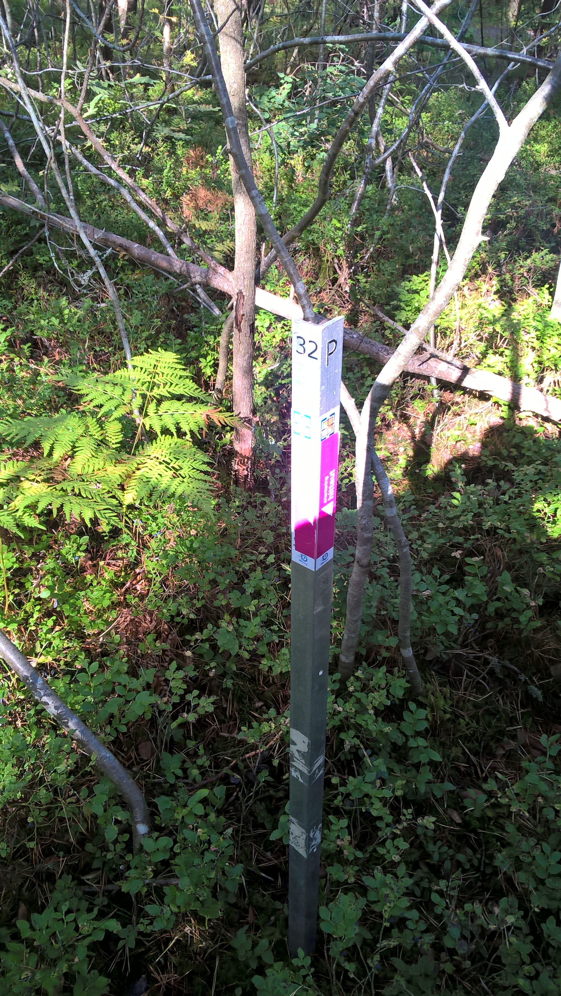 WP_20170910_13_49_33_Pro