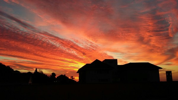 20170520_180056_resized