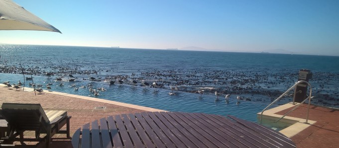 Seagull pool