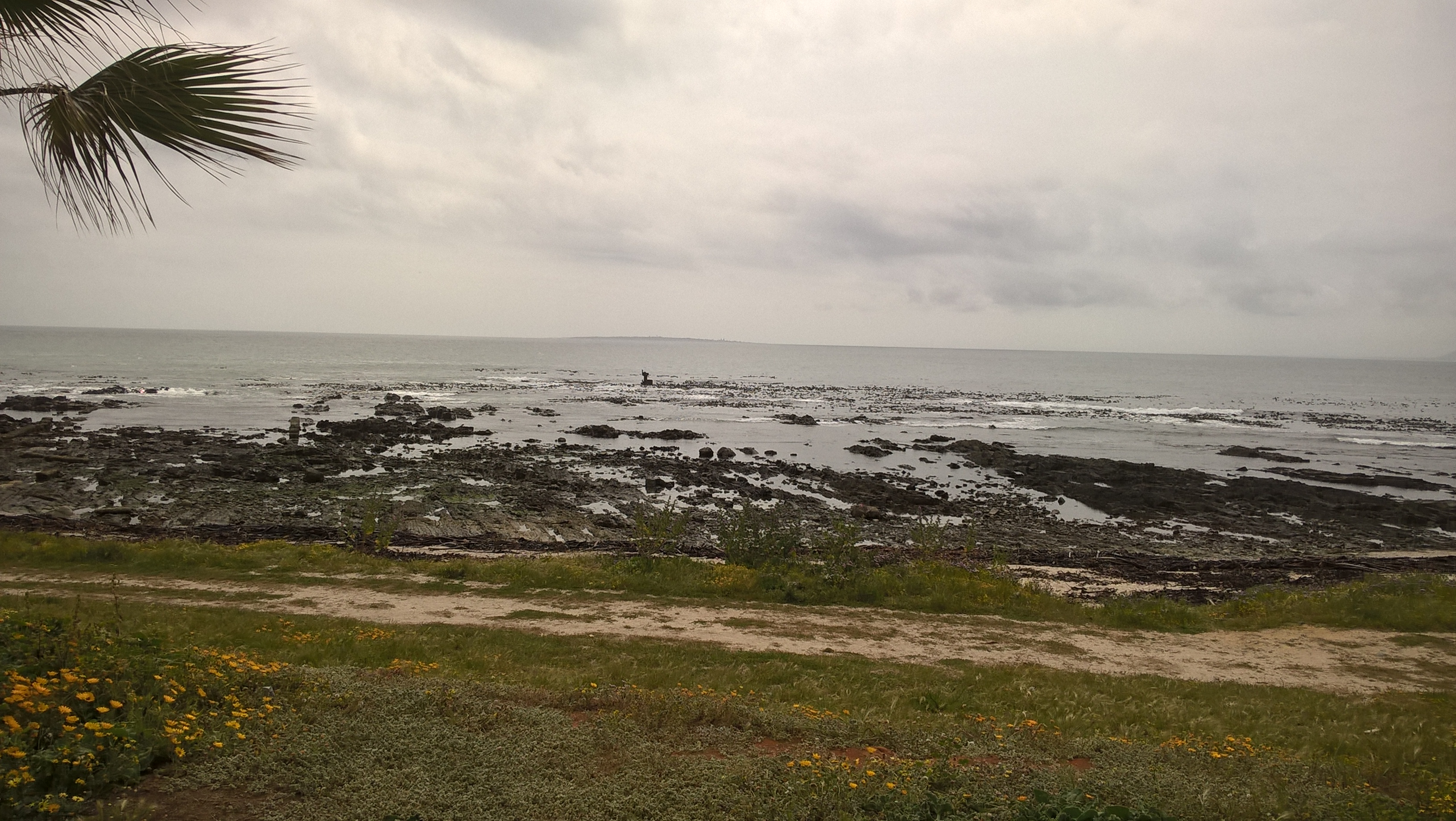 WP_20181001_13_22_56_Pro