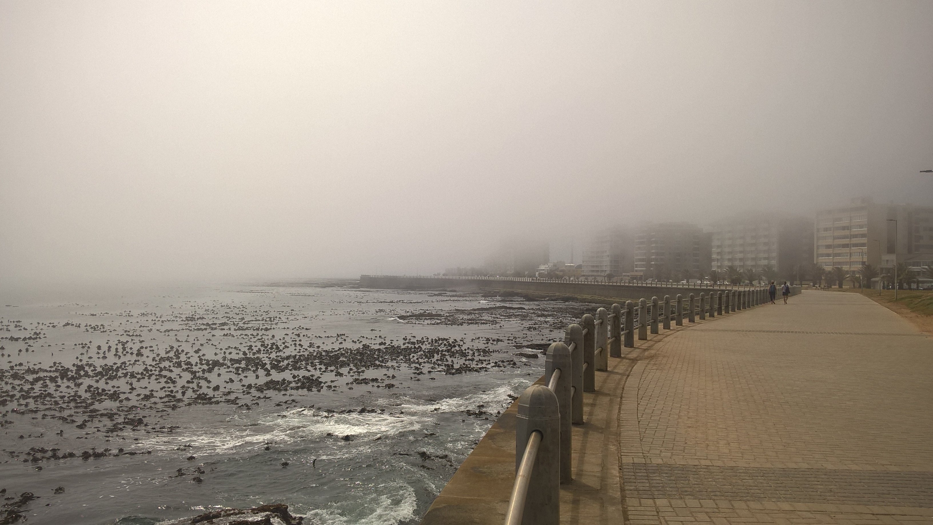 WP_20181025_10_46_36_Pro