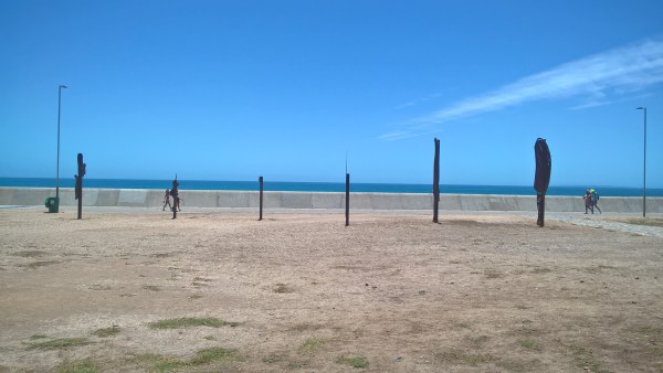 WP_20181229_13_17_43_Pro