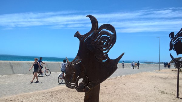 WP_20181229_13_18_44_Pro